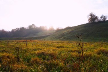 Çimen tarlası ve bulutlu gökyüzü olan güzel bir manzara.