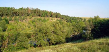 Nehir ve orman olan güzel bir manzara.