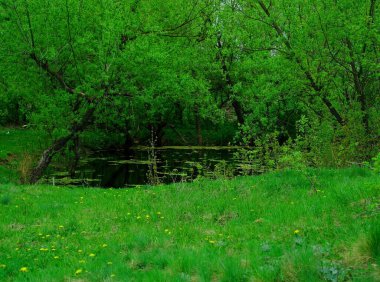Nehir ve küçük göleti olan güzel bir manzara.