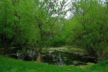Nehir ve küçük göleti olan güzel bir manzara.