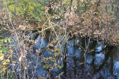 Doğanın güzel manzarası