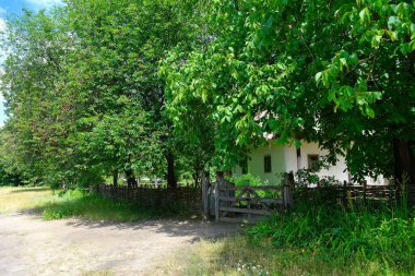 Parkın güzel manzarası