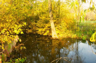 Doğanın güzel bir sahnesi.