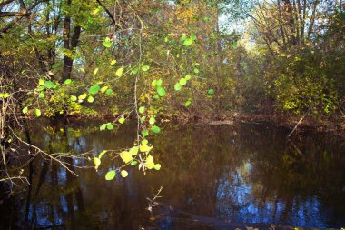 Doğanın güzel bir sahnesi.