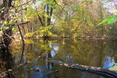 Doğanın güzel bir sahnesi.