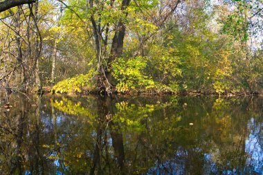 Doğanın güzel bir sahnesi.