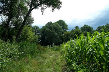 Doğanın güzel bir sahnesi.