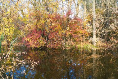 Doğanın güzel bir sahnesi.