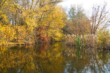 Doğanın güzel bir sahnesi.