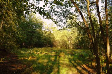 Doğanın güzel bir sahnesi.
