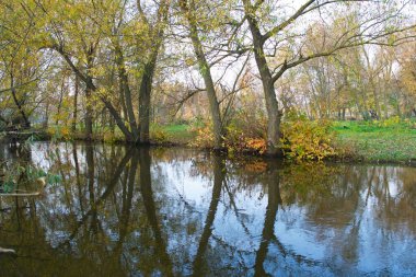 Doğanın güzel bir sahnesi.