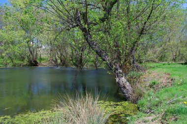 Doğanın güzel bir sahnesi.