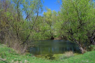 Doğanın güzel bir sahnesi.