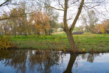 Güz ormanı manzarası güzel ağaçlar ve nehirlerle