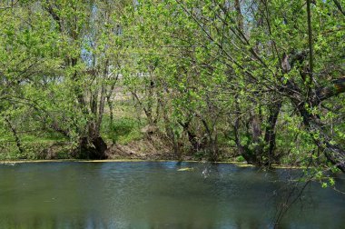 Doğanın güzel bir sahnesi.