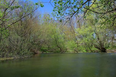 Doğanın güzel bir sahnesi.