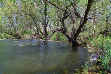 Doğanın güzel bir sahnesi.