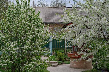Doğanın güzel bir sahnesi.