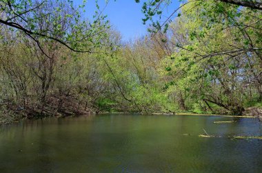 Doğanın güzel bir sahnesi.