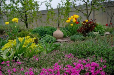 Doğanın güzel bir sahnesi.
