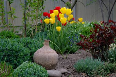 Doğanın güzel bir sahnesi.