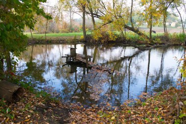 Güz ormanı manzarası güzel ağaçlar ve nehirlerle