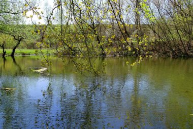 Doğanın güzel bir sahnesi.