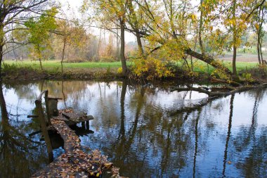 Doğanın güzel bir sahnesi.