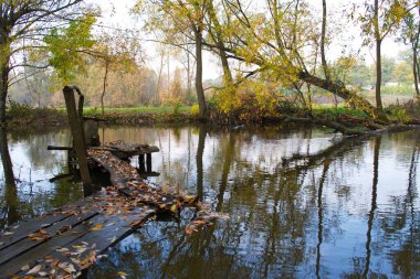 Nehir ve ağaçlarla dolu güzel bir manzara