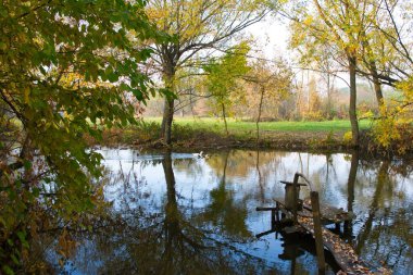 a beautiful shot of nature scene