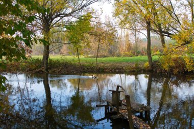 Doğanın güzel bir sahnesi.