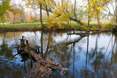 Güz ormanı manzarası güzel ağaçlar ve nehirlerle