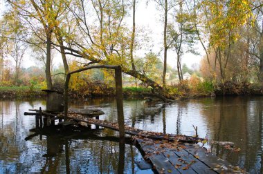Güz ormanı manzarası güzel ağaçlar ve nehirlerle