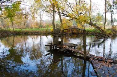 Doğanın güzel bir sahnesi.