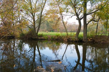 Parkın güzel manzarası