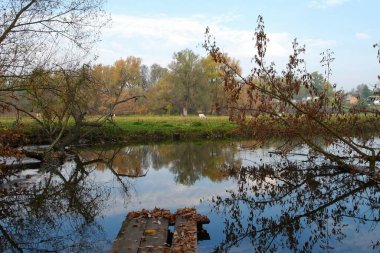Parkın güzel manzarası