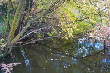 Parkın güzel manzarası