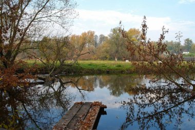 Parkın güzel manzarası