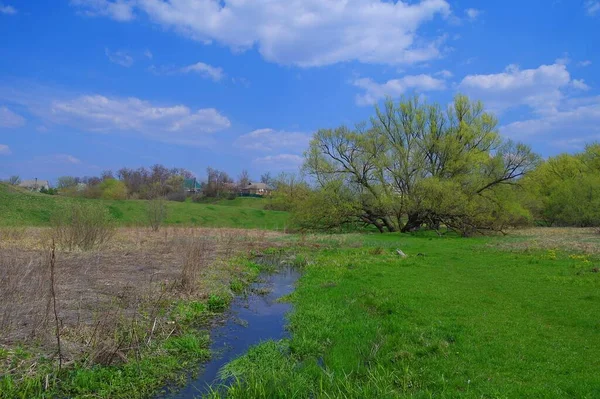 有河流和树木的春天景观 — 图库照片