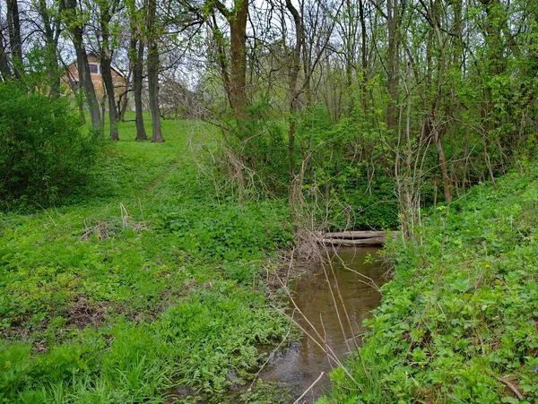 Ormandaki eski ahşap köprü