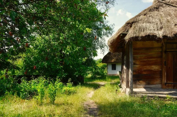 Old Traditional Ukrainian Houses Village — Stock Photo, Image
