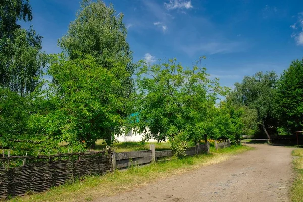 Schöne Aussicht Auf Den Park — Stockfoto