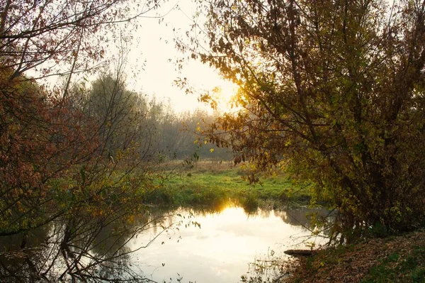 Güz ormanı manzarası güzel ağaçlar ve nehirlerle