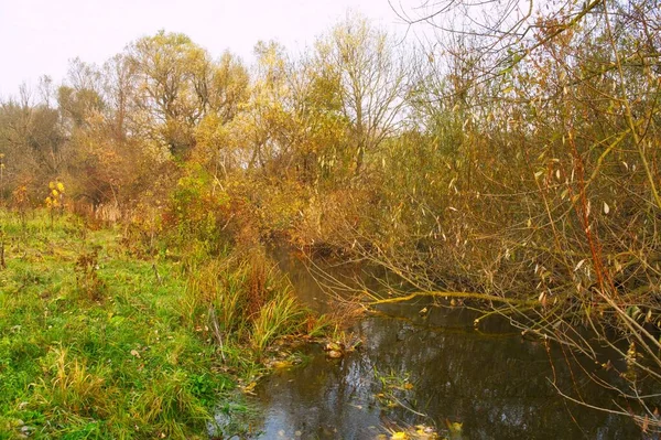 Beau Paysage Avec Une Rivière Lac Arrière Plan — Photo