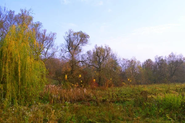 Красивый Осенний Пейзаж Яркими Деревьями — стоковое фото