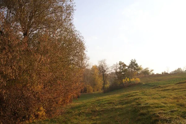 Schöne Herbstlandschaft Mit Hellen Bäumen — Stockfoto