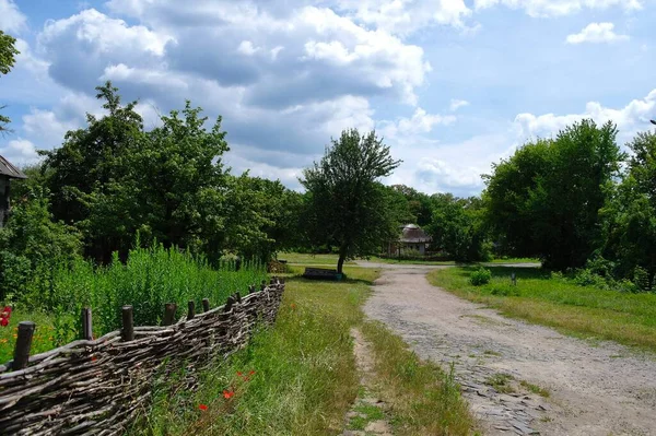 Beautiful Shot Nature Scene — Stockfoto