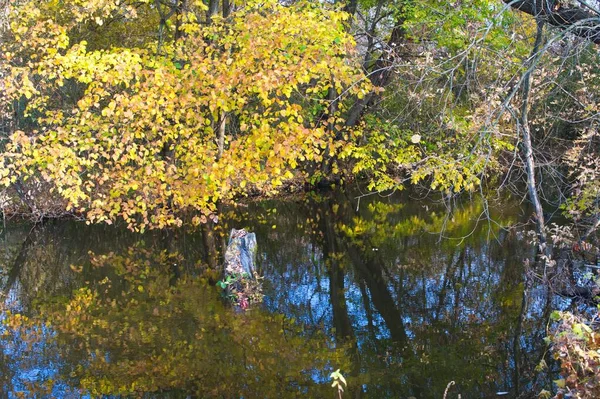 Herbstliche Waldlandschaft Mit Schönen Bäumen Und Fluss — Stockfoto