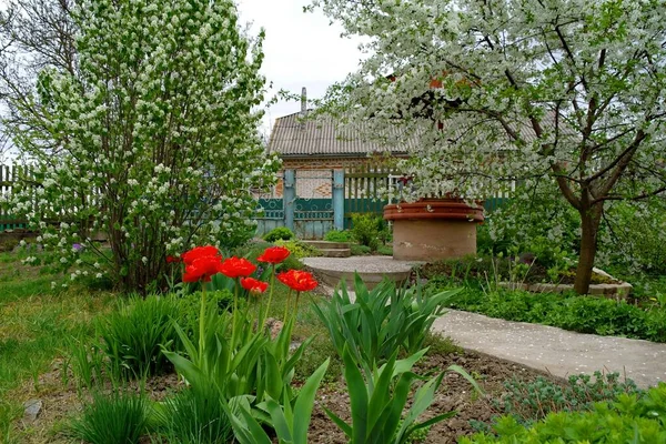 Doğanın güzel bir sahnesi.