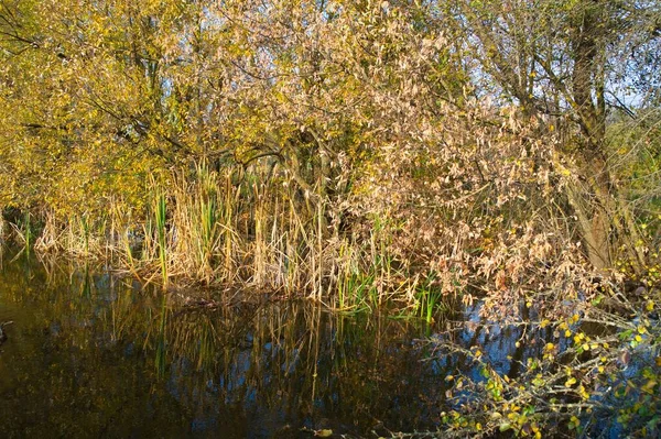 Doğanın güzel bir sahnesi.